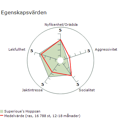 mh hoppsan (2)