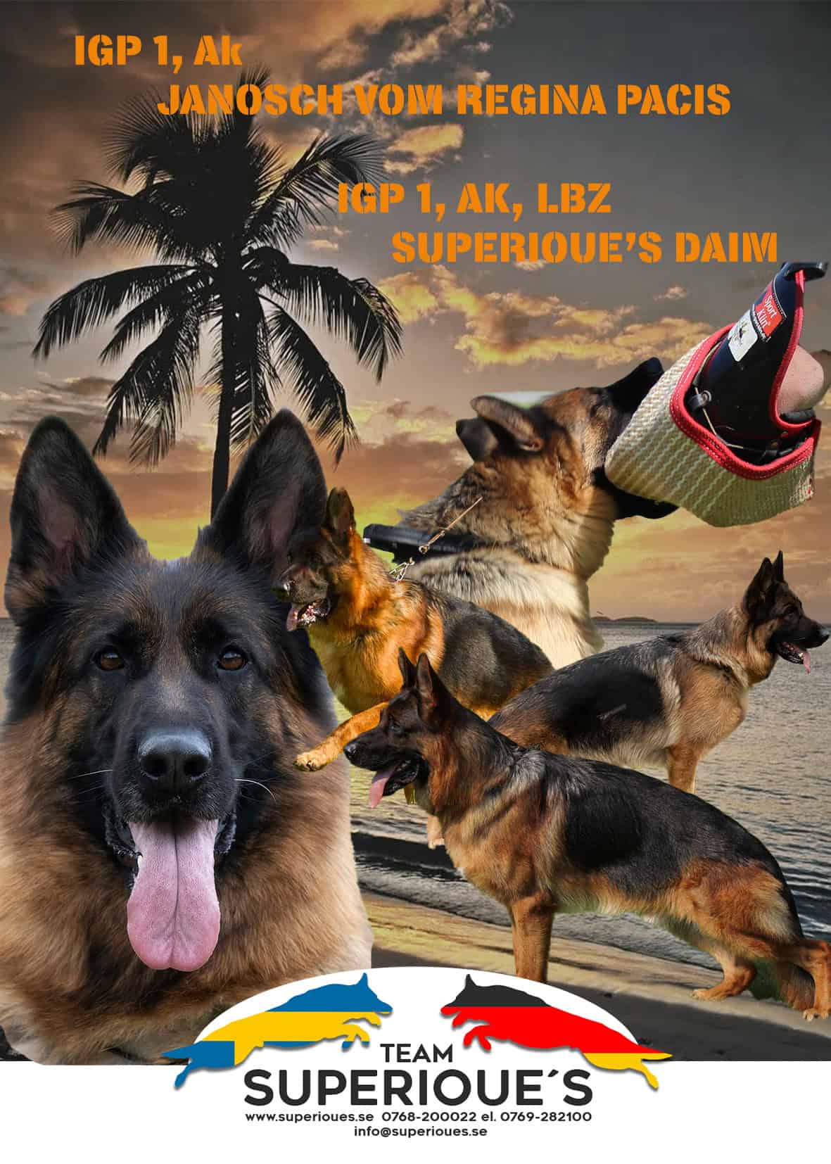 Superioue's Daim annons kopiera