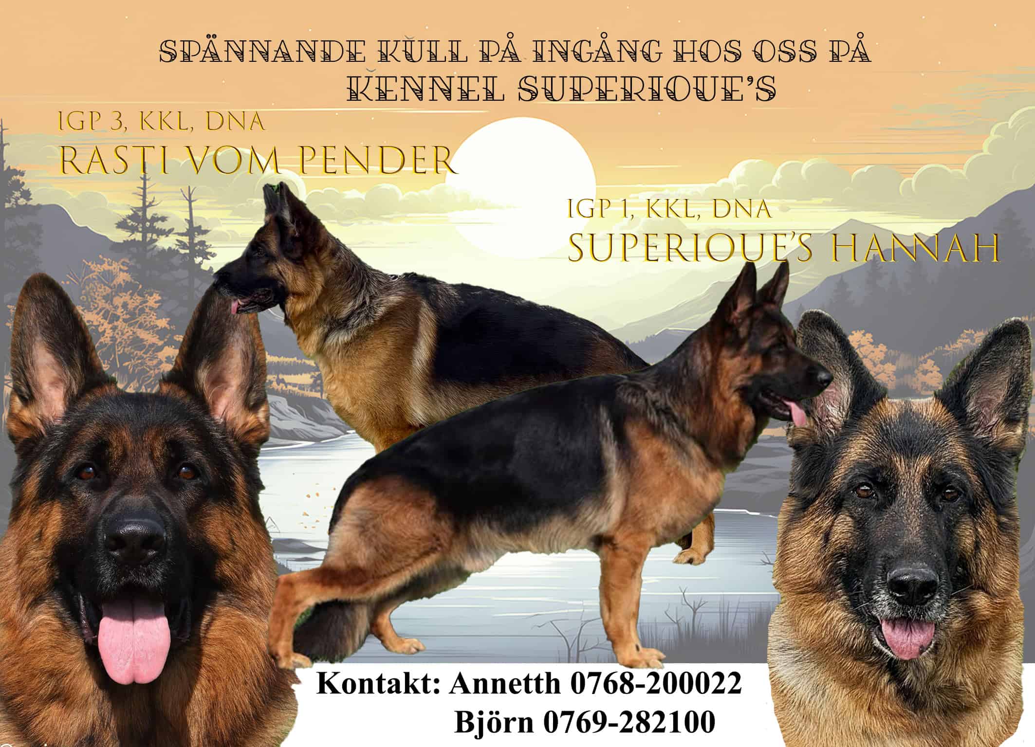 annons Superioue's Hannah kopiera